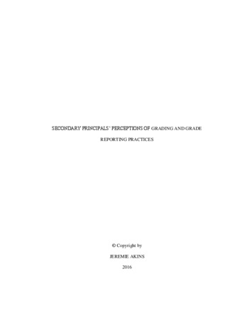 imagen representativa predeterminada